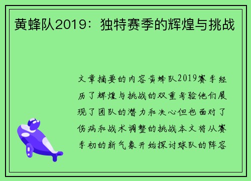 黄蜂队2019：独特赛季的辉煌与挑战